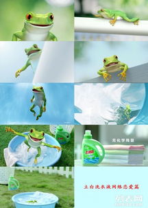 廣州番禺企業(yè)宣傳片與三維動畫展示，為何騰視文化動漫制作備受青睞？